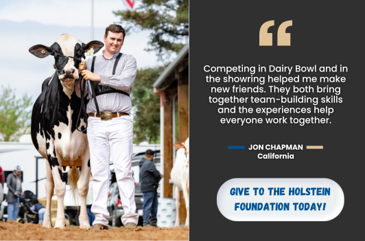 Support Holstein Foundation by Giving today!